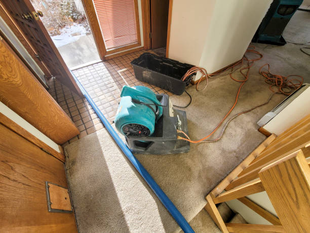 Best Water damage restoration near me  in Baytown, TX