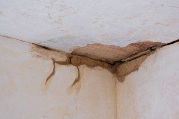 Best Basement water damage restoration  in Baytown, TX