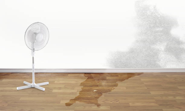 Best Flooded house restoration  in Baytown, TX