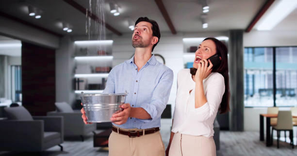 Best Mold removal after water damage  in Baytown, TX