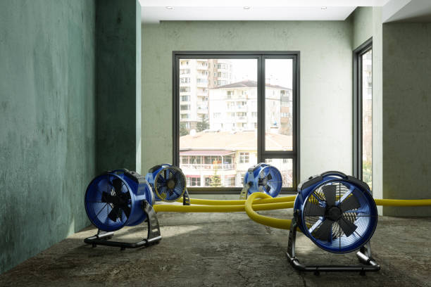 Best Basement water damage restoration  in Baytown, TX