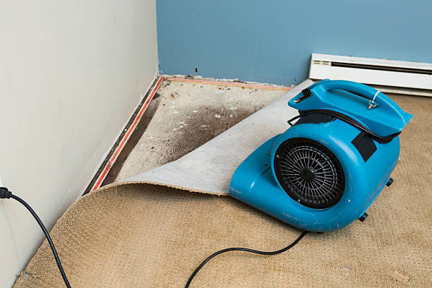 Best Flood damage cleanup  in Baytown, TX